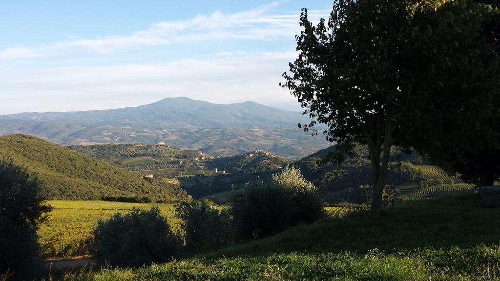 La Casa Di Alice Villa Castelnuovo dellʼAbate Eksteriør billede